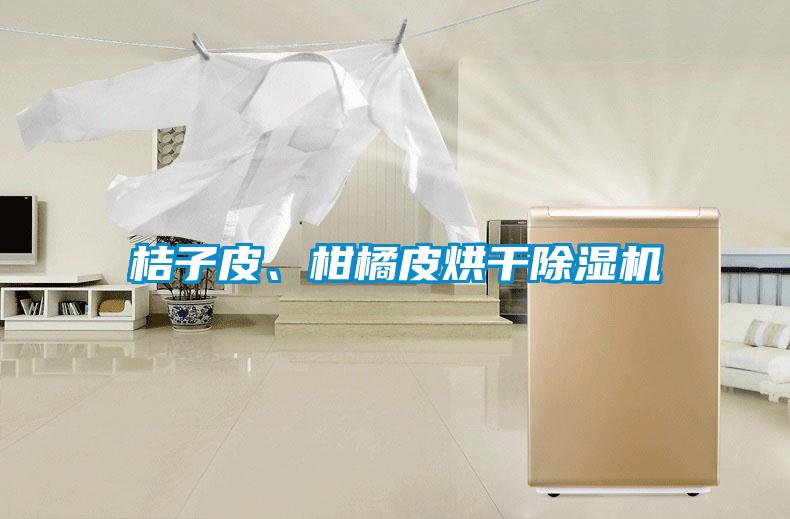 桔子皮、柑橘皮烘干除濕機