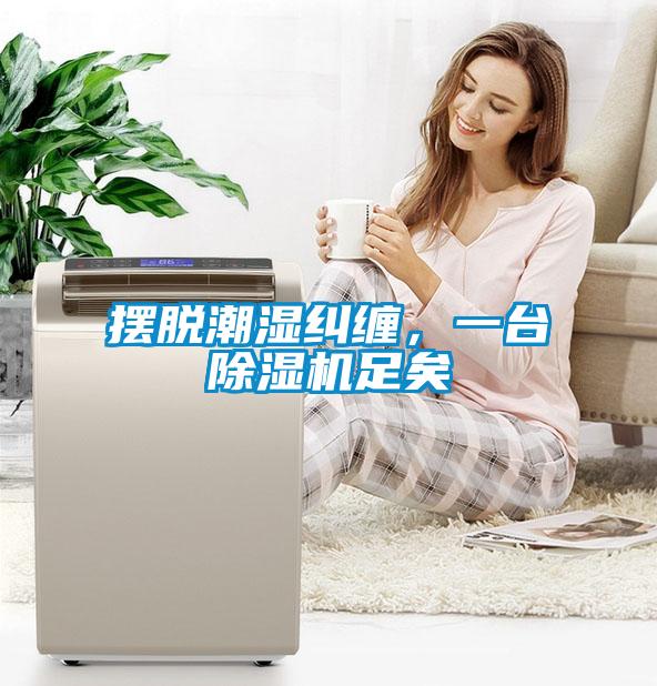 擺脫潮濕糾纏，一臺(tái)除濕機(jī)足矣