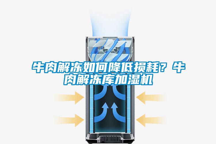 牛肉解凍如何降低損耗？牛肉解凍庫(kù)加濕機(jī)