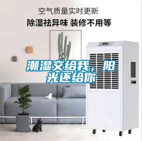 潮濕交給我，陽光還給你