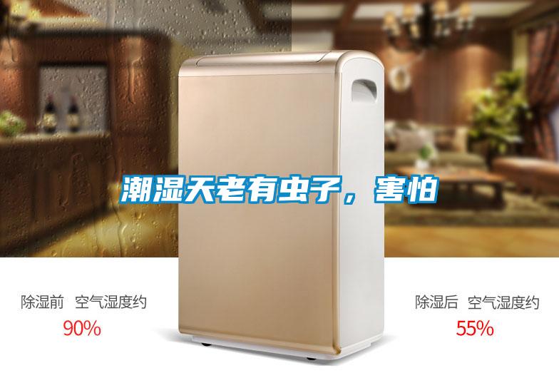 潮濕天老有蟲子，害怕