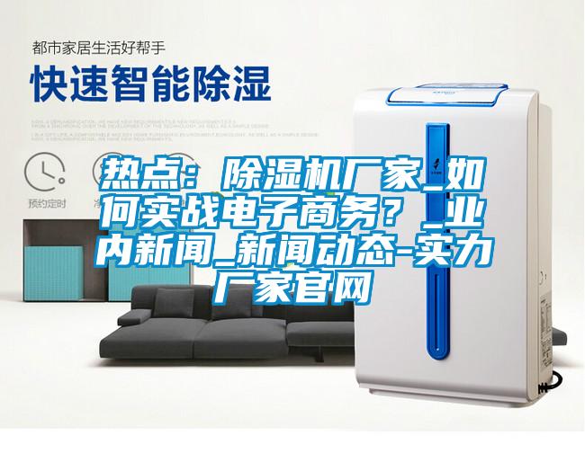 熱點：除濕機廠家_如何實戰(zhàn)電子商務？_業(yè)內(nèi)新聞_新聞動態(tài)-實力廠家官網(wǎng)