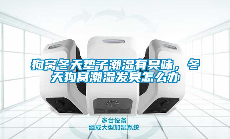 狗窩冬天墊子潮濕有臭味，冬天狗窩潮濕發(fā)臭怎么辦