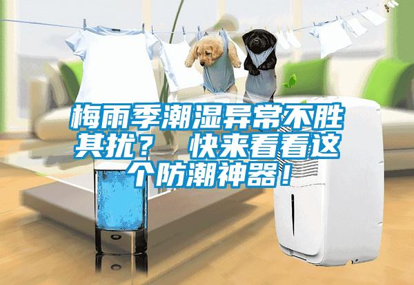 梅雨季潮濕異常不勝其擾？ 快來(lái)看看這個(gè)防潮神器！