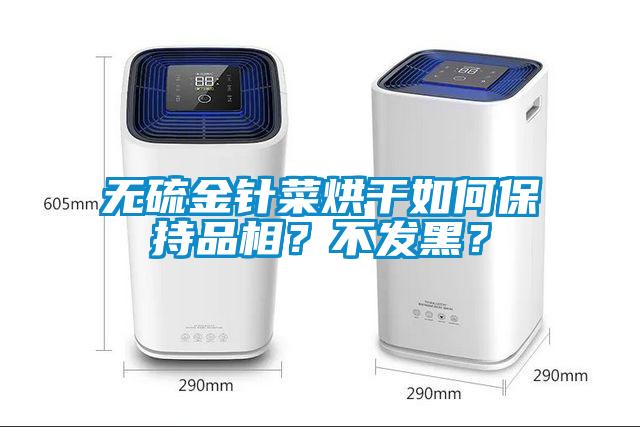 無硫金針菜烘干如何保持品相？不發(fā)黑？