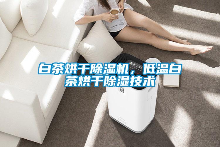 白茶烘干除濕機，低溫白茶烘干除濕技術(shù)