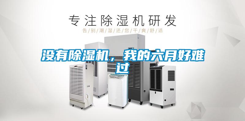 沒(méi)有除濕機(jī)，我的六月好難過(guò)