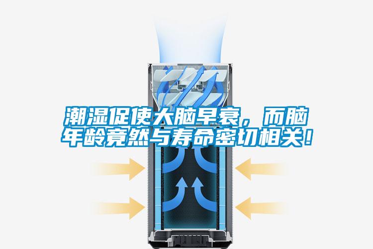 潮濕促使大腦早衰，而腦年齡竟然與壽命密切相關(guān)！