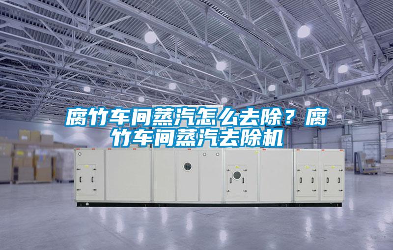 腐竹車間蒸汽怎么去除？腐竹車間蒸汽去除機(jī)