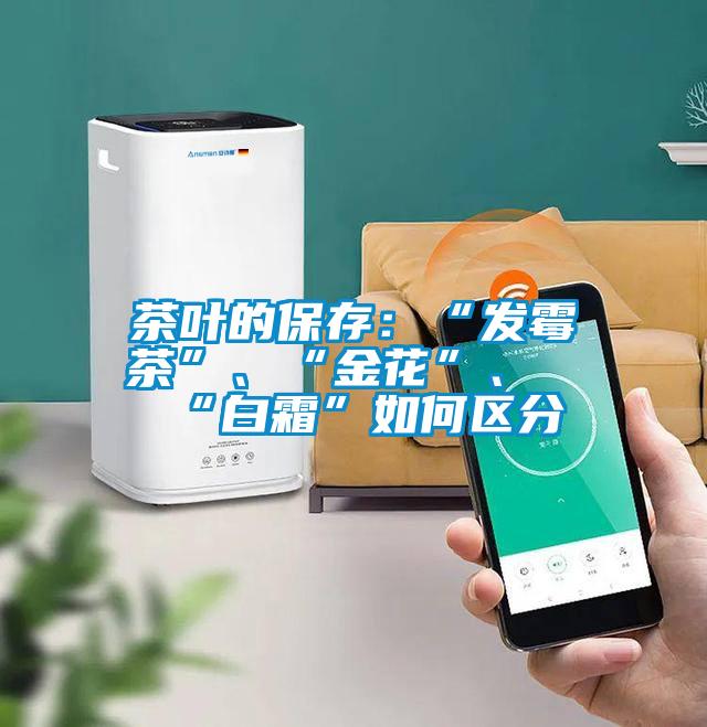 茶葉的保存：“發(fā)霉茶”、“金花”、“白霜”如何區(qū)分