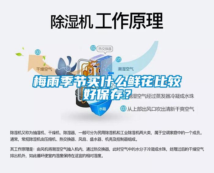 梅雨季節(jié)買什么鮮花比較好保存？