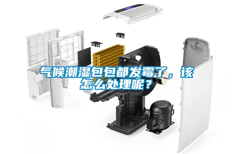 氣候潮濕包包都發(fā)霉了，該怎么處理呢？