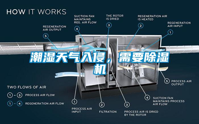 潮濕天氣入侵，需要除濕機(jī)