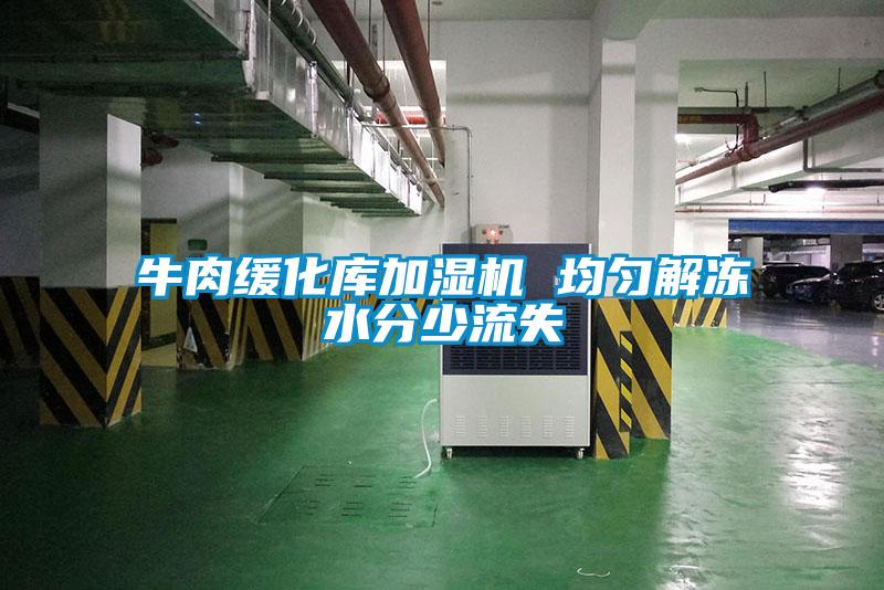 牛肉緩化庫加濕機(jī) 均勻解凍水分少流失