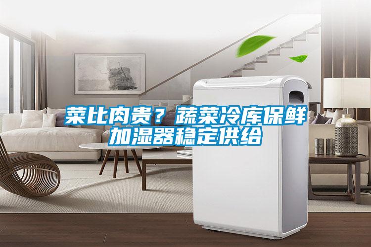 菜比肉貴？蔬菜冷庫保鮮加濕器穩(wěn)定供給