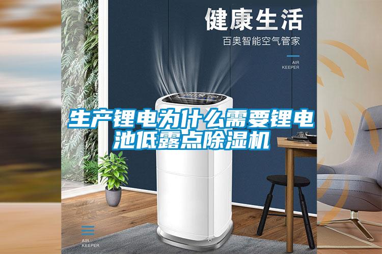 生產(chǎn)鋰電為什么需要鋰電池低露點除濕機(jī)