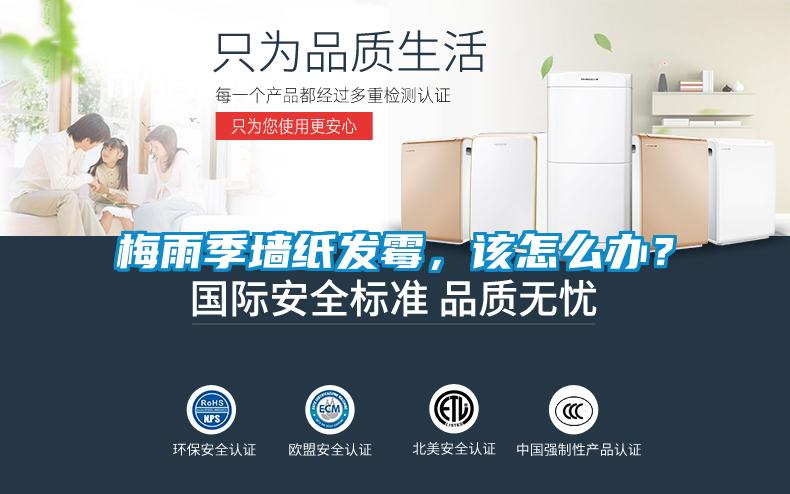 梅雨季墻紙發(fā)霉，該怎么辦？