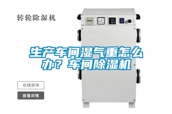 生產(chǎn)車間濕氣重怎么辦？車間除濕機(jī)