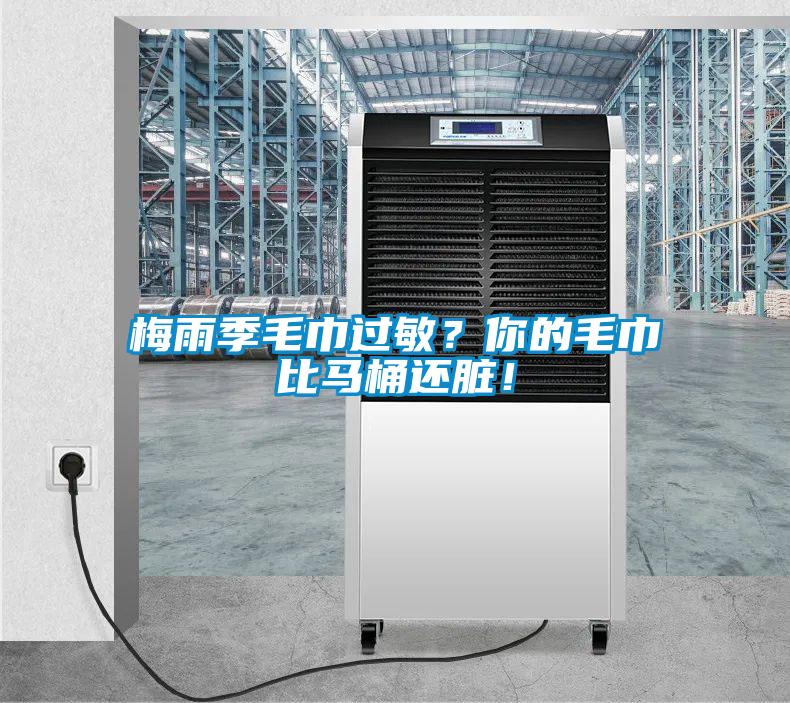 梅雨季毛巾過敏？你的毛巾比馬桶還臟！