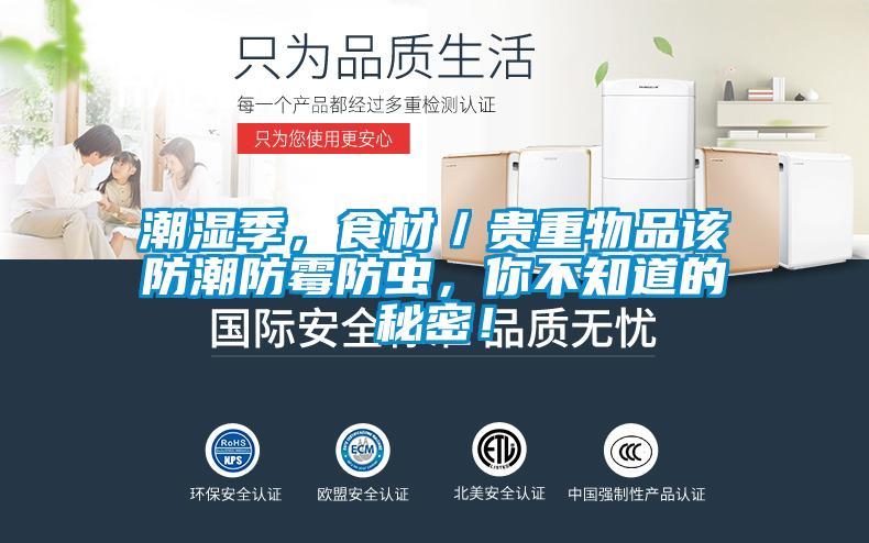潮濕季，食材／貴重物品該防潮防霉防蟲，你不知道的秘密！