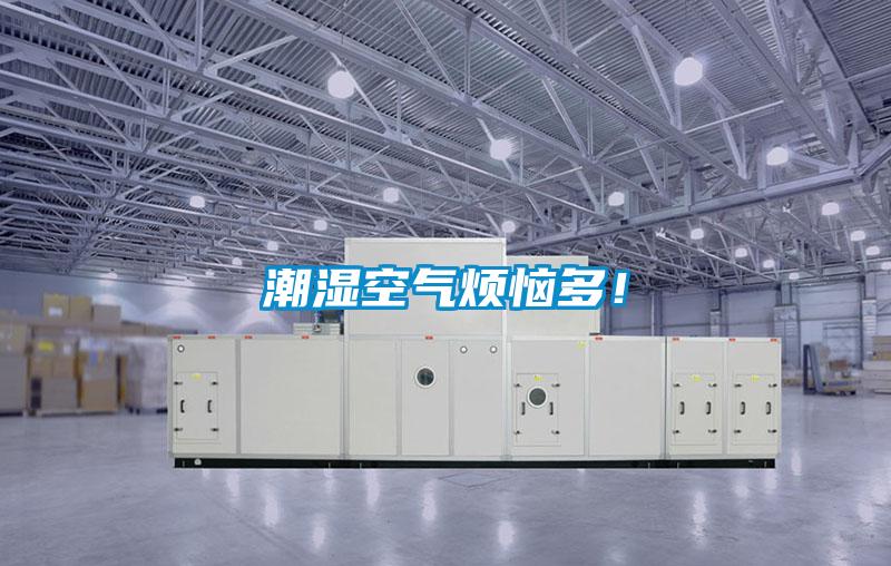 潮濕空氣煩惱多！