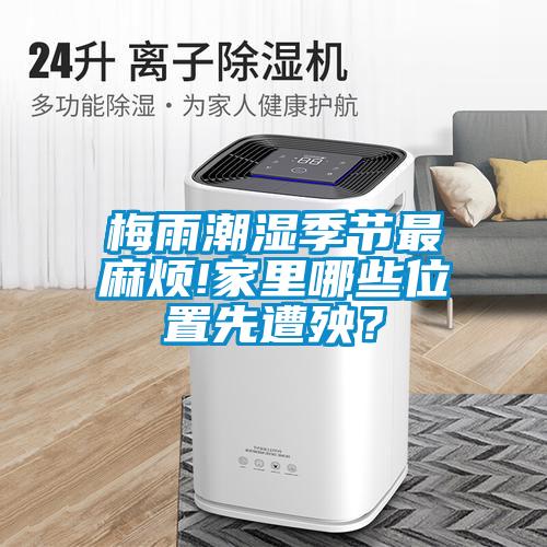 梅雨潮濕季節(jié)最麻煩!家里哪些位置先遭殃？