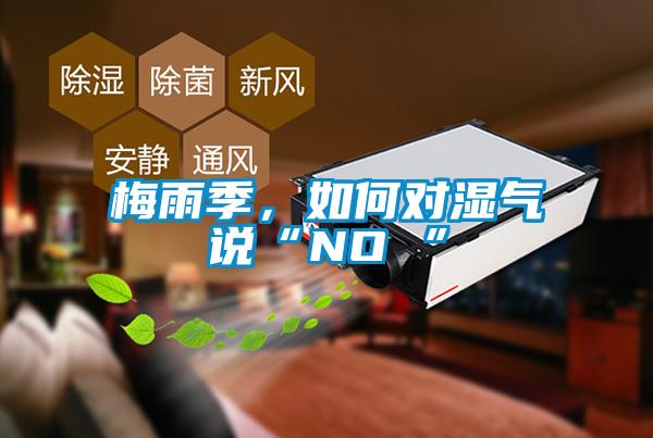 梅雨季，如何對濕氣說“NO ”