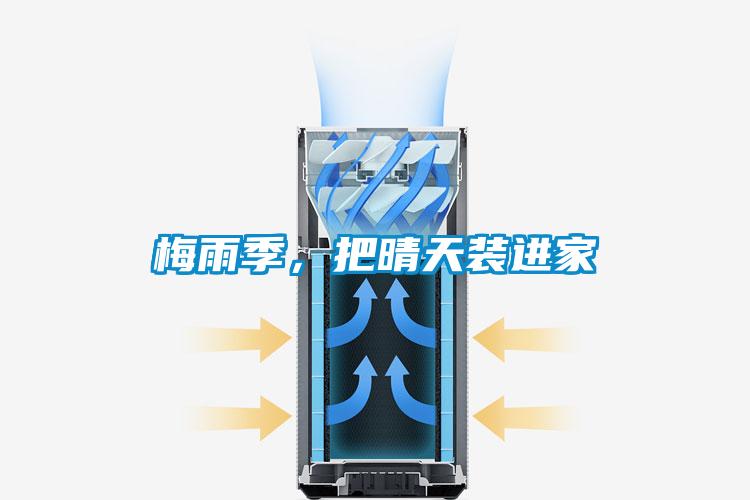 梅雨季，把晴天裝進(jìn)家