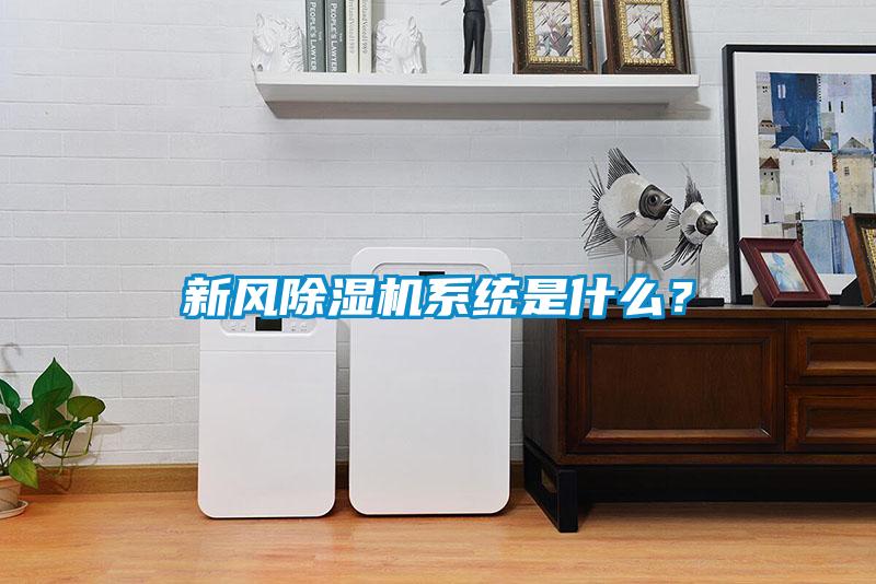 新風除濕機系統(tǒng)是什么？