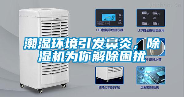 潮濕環(huán)境引發(fā)鼻炎，除濕機(jī)為你解除困擾