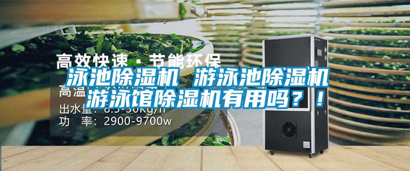 泳池除濕機 游泳池除濕機 游泳館除濕機有用嗎？！