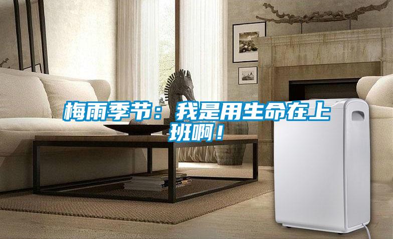梅雨季節(jié)：我是用生命在上班??！