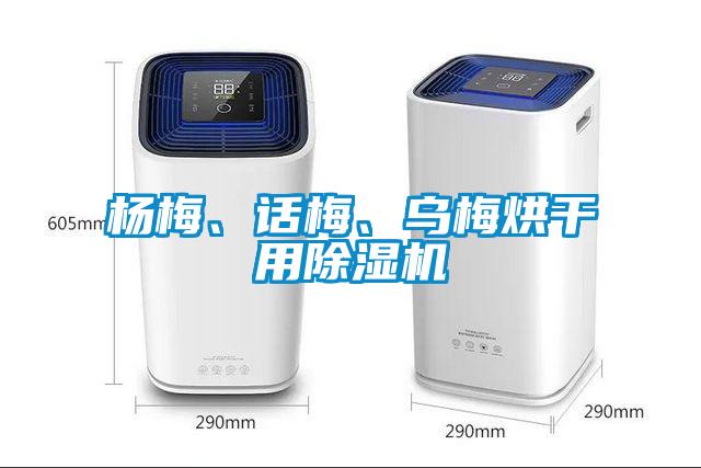 楊梅、話梅、烏梅烘干用除濕機