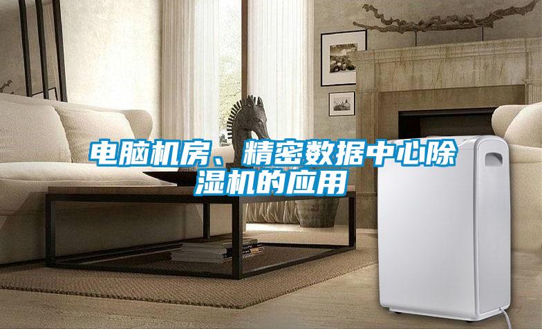 電腦機(jī)房、精密數(shù)據(jù)中心除濕機(jī)的應(yīng)用