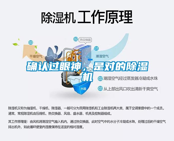 確認過眼神，是對的除濕機
