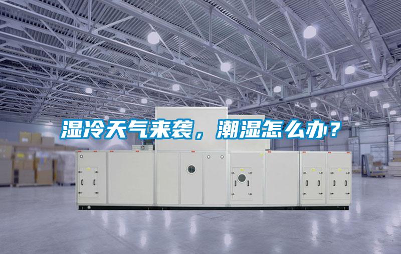 濕冷天氣來襲，潮濕怎么辦？