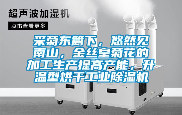 采菊東籬下，悠然見南山，金絲皇菊花的加工生產(chǎn)提高產(chǎn)能，升溫型烘干工業(yè)除濕機(jī)