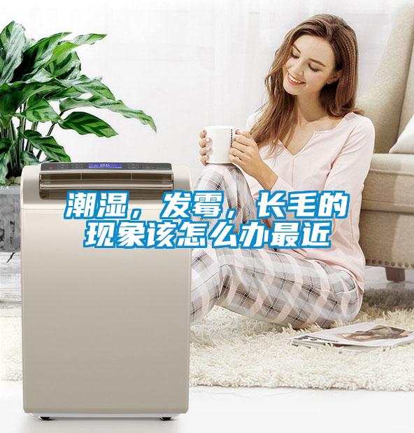 潮濕，發(fā)霉，長(zhǎng)毛的現(xiàn)象該怎么辦最近