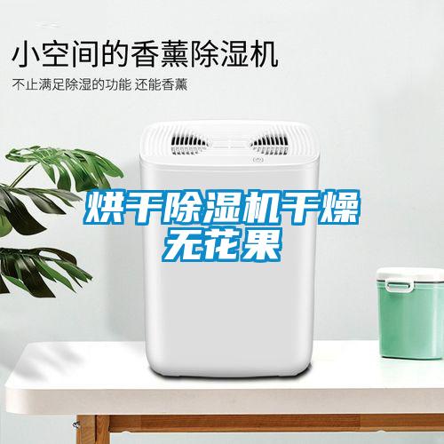烘干除濕機(jī)干燥無花果