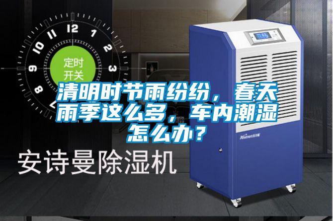 清明時節(jié)雨紛紛，春天雨季這么多，車內(nèi)潮濕怎么辦？