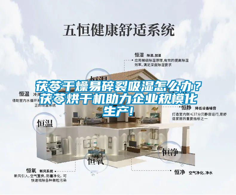 茯苓干燥易碎裂吸濕怎么辦？茯苓烘干機助力企業(yè)規(guī)?；a(chǎn)!