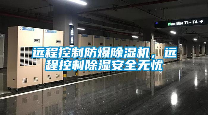 遠(yuǎn)程控制防爆除濕機(jī)，遠(yuǎn)程控制除濕安全無憂