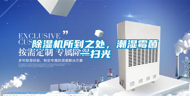 除濕機所到之處，潮濕霉菌一掃光