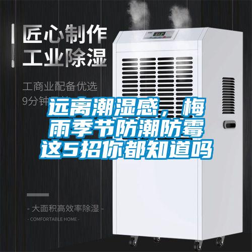 遠(yuǎn)離潮濕感，梅雨季節(jié)防潮防霉這5招你都知道嗎