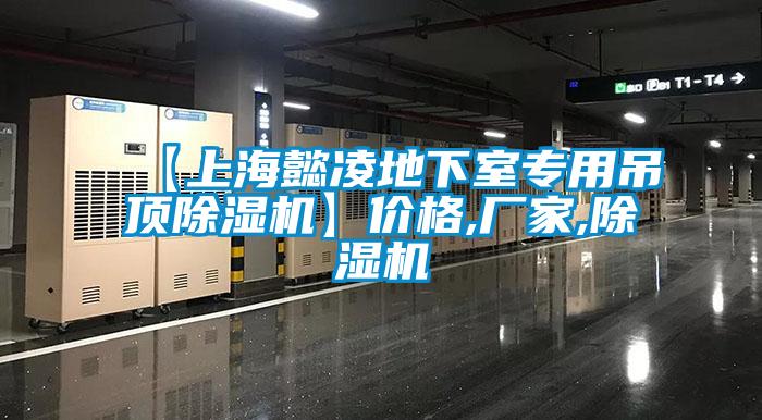 【上海懿凌地下室專用吊頂除濕機(jī)】?jī)r(jià)格,廠家,除濕機(jī)