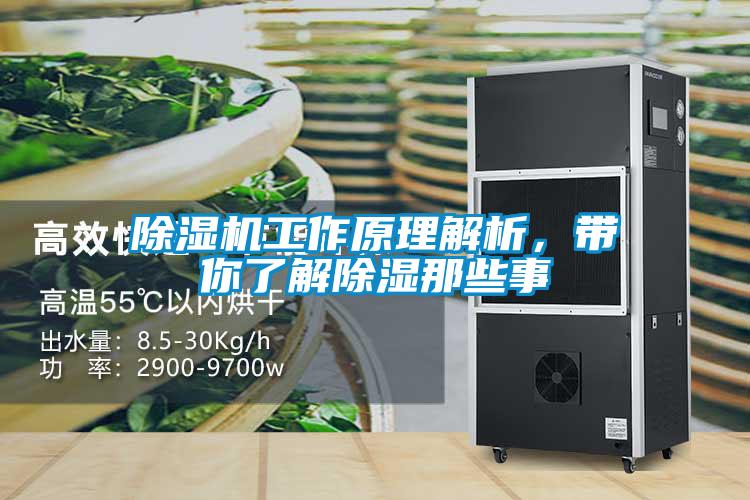除濕機(jī)工作原理解析，帶你了解除濕那些事