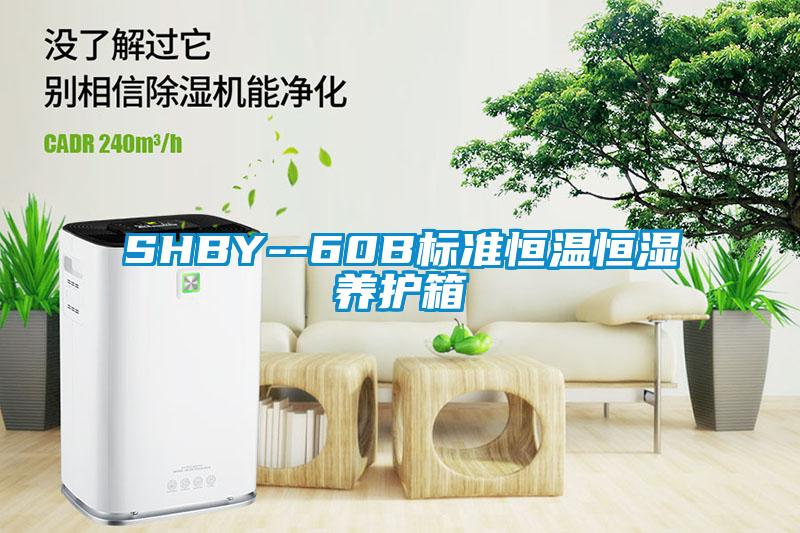 SHBY--60B標準恒溫恒濕養(yǎng)護箱