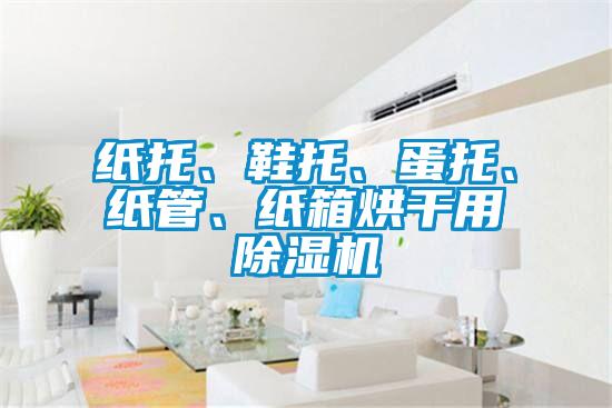 紙托、鞋托、蛋托、紙管、紙箱烘干用除濕機(jī)