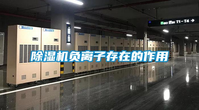 除濕機(jī)負(fù)離子存在的作用