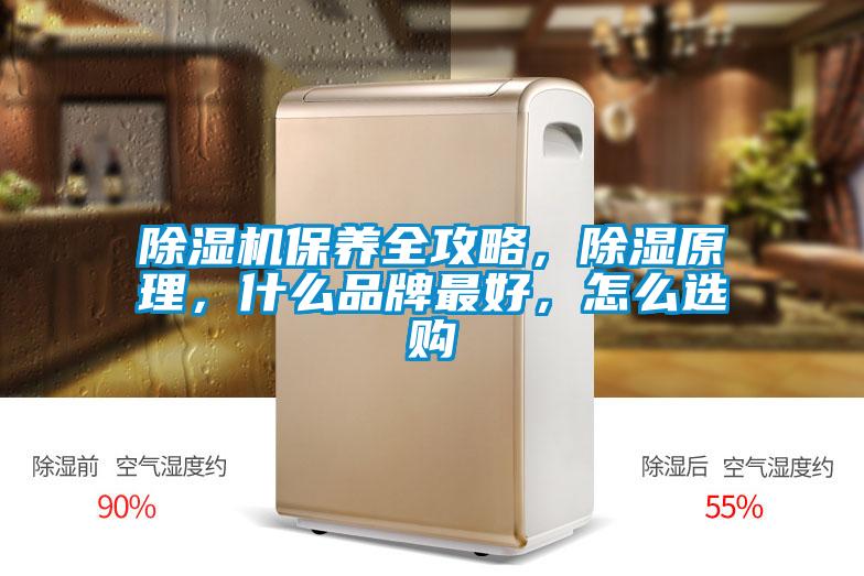 除濕機(jī)保養(yǎng)全攻略，除濕原理，什么品牌最好，怎么選購